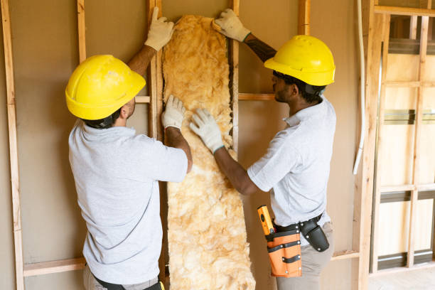 Best Commercial Insulation Services  in Percy, IL